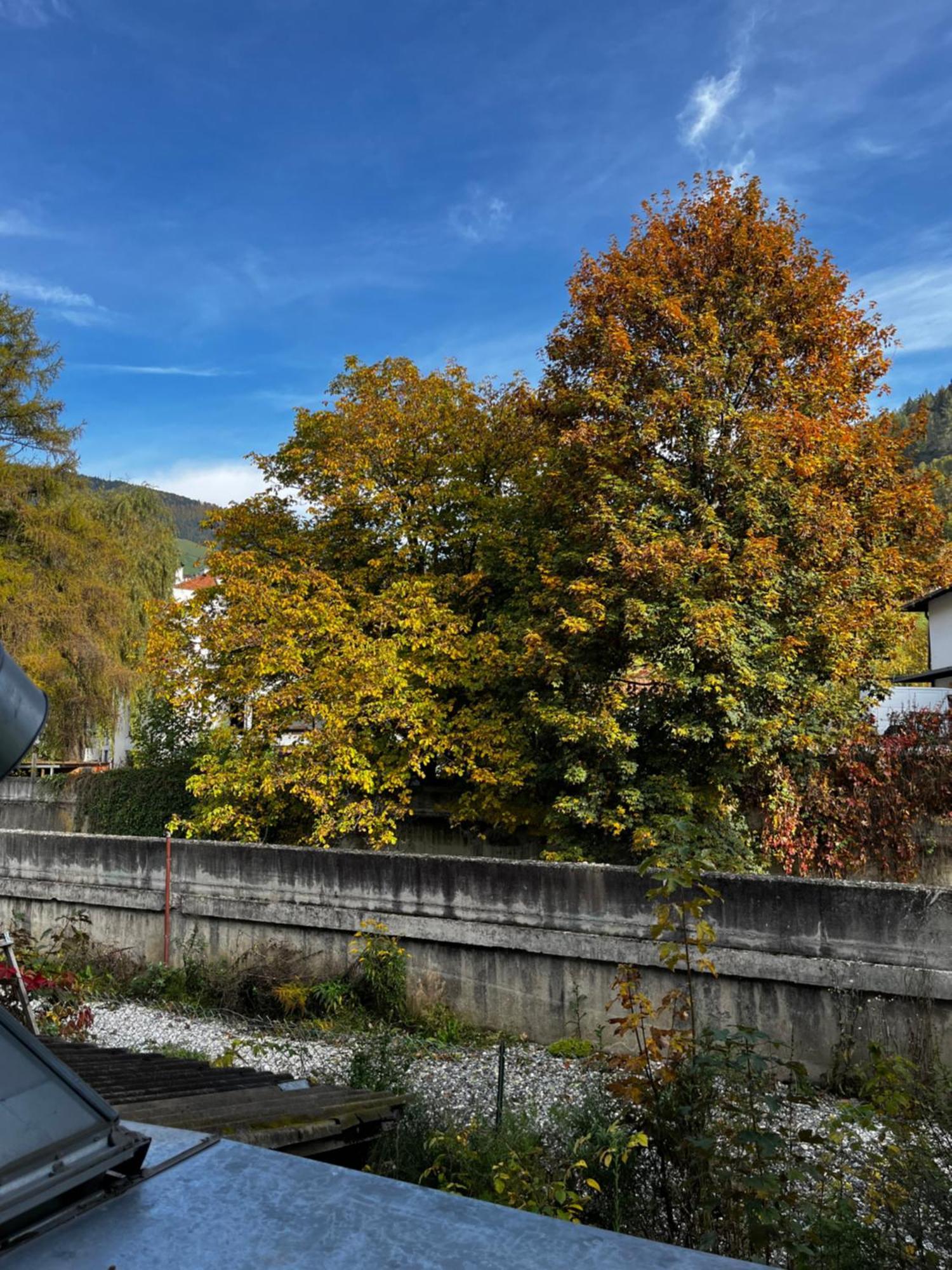 Gasthof Sterzingerhof Kültér fotó